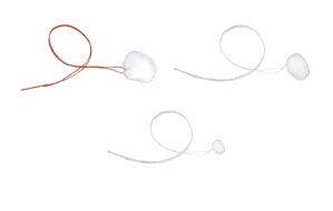 Cotton Ear Dams