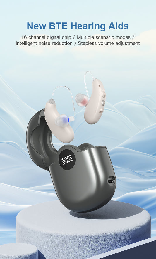 Hearing Aid Ric GM-363 OTC