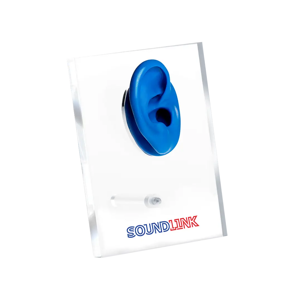 Acrylic Ear Display For Hearing Aids Displaying For Hearing Aids Clinic