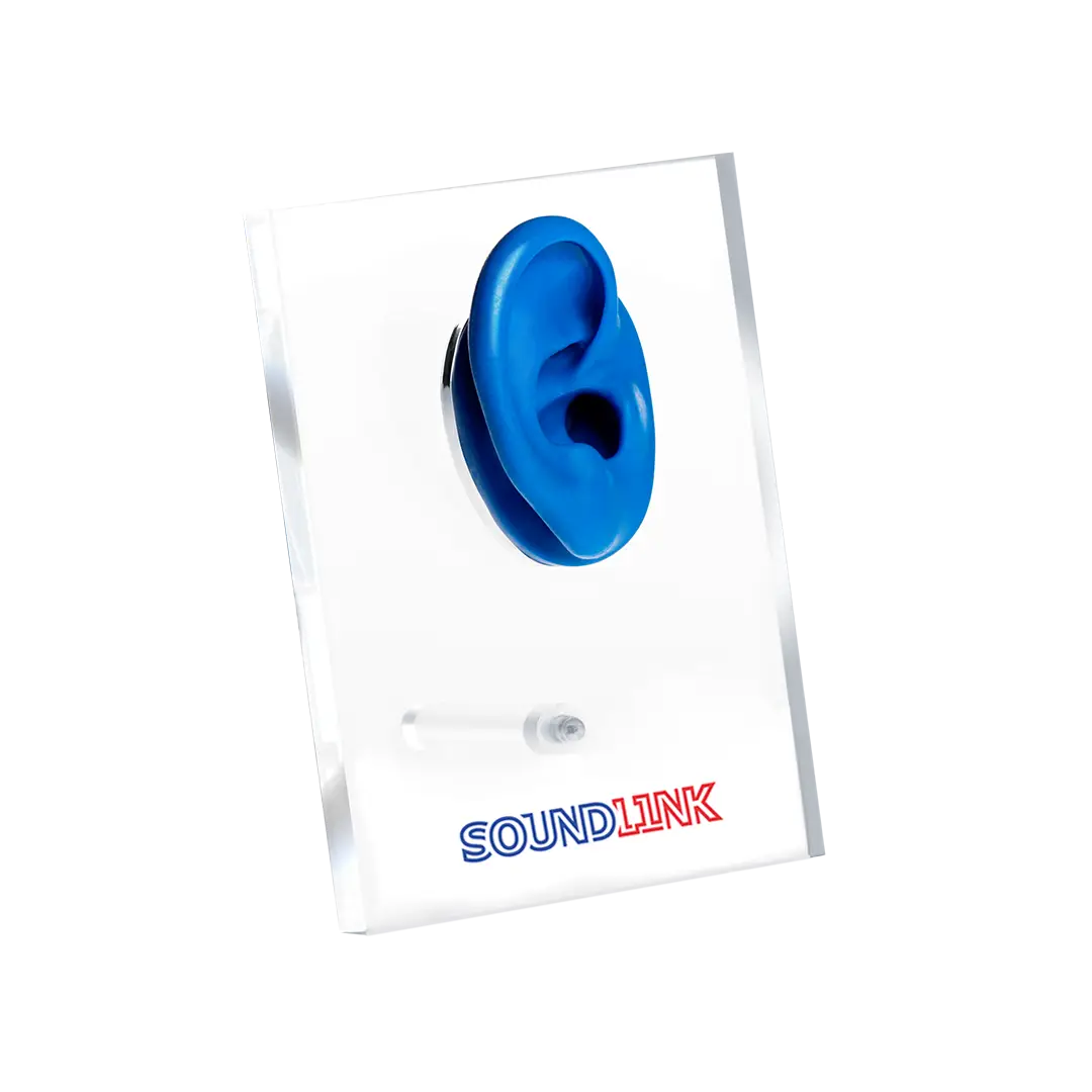 Acrylic Ear Display For Hearing Aids Displaying For Hearing Aids Clinic