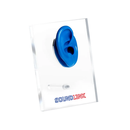 Acrylic Ear Display For Hearing Aids Displaying For Hearing Aids Clinic