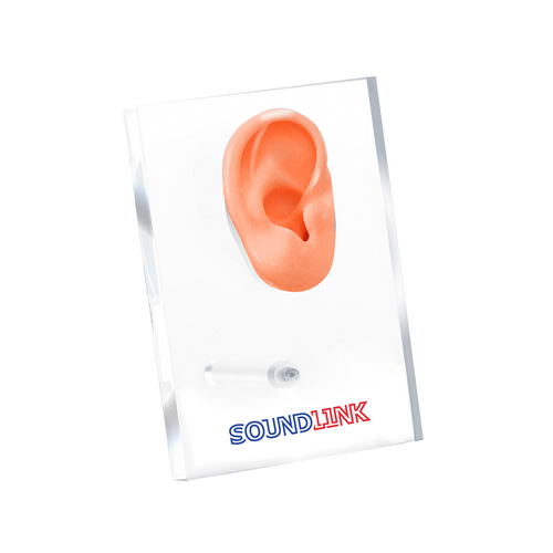 Acrylic Ear Display For Hearing Aids Displaying For Hearing Aids Clinic