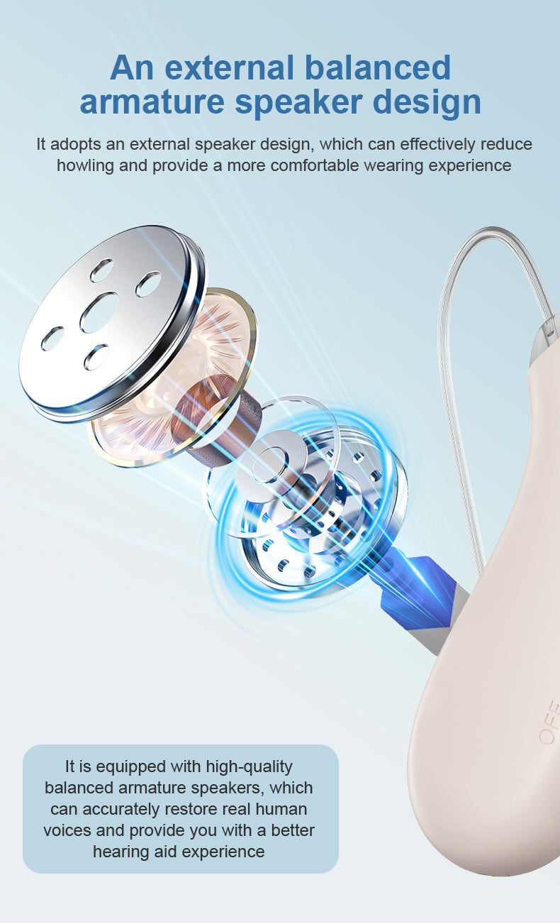 Hearing Aid Ric GM-363 OTC