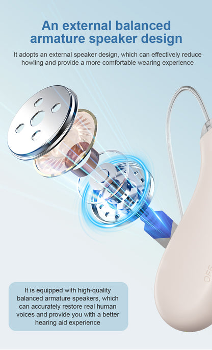 Hearing Aid Ric GM-363 OTC