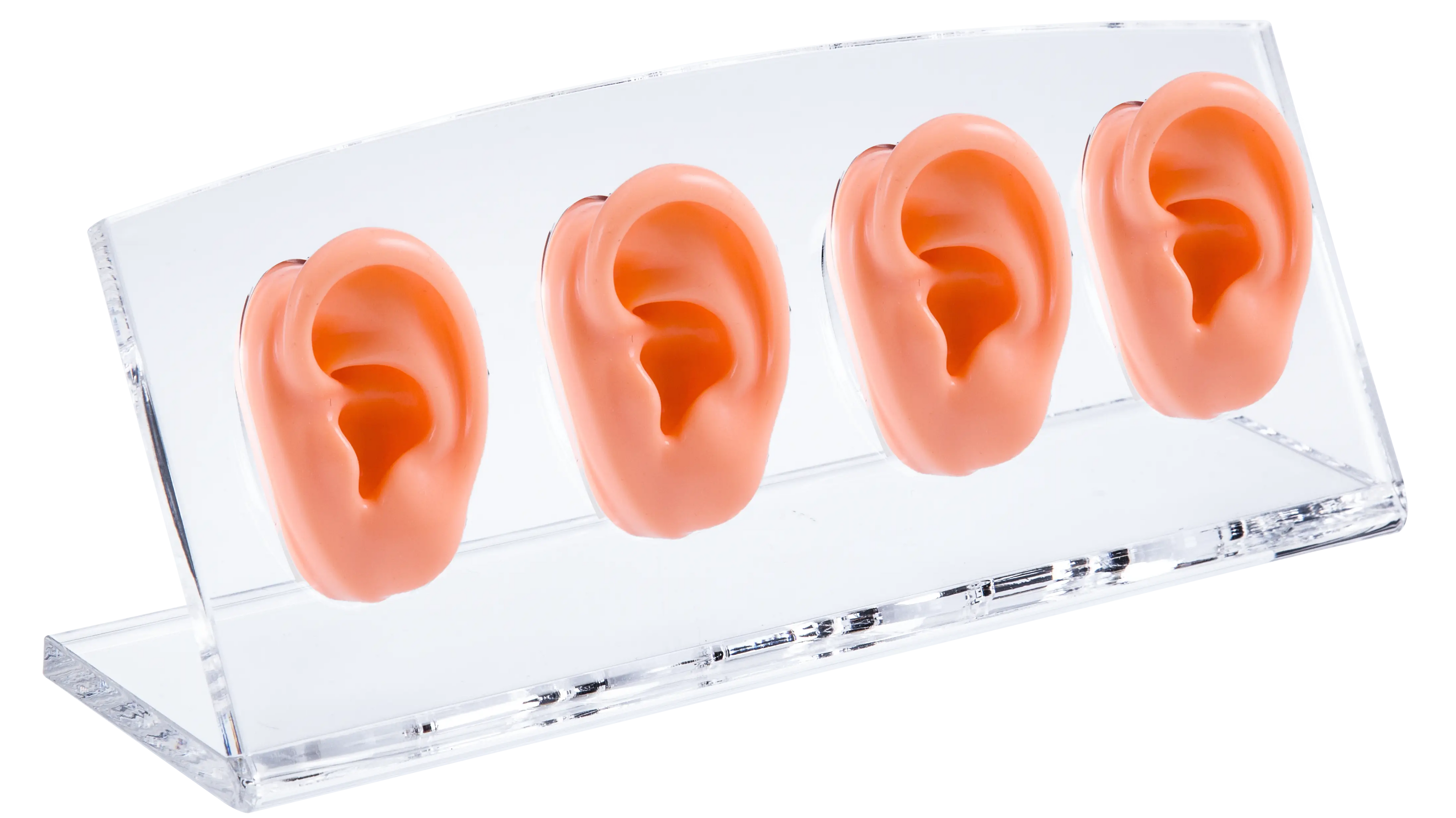 High Quality Ear Display With Four Silicone Ear Models