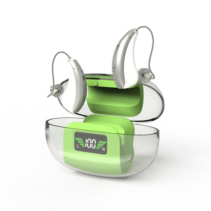 Hearing Aid Ric GM-303 OTC