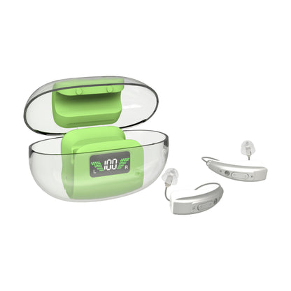 Hearing Aid Ric GM-303 OTC