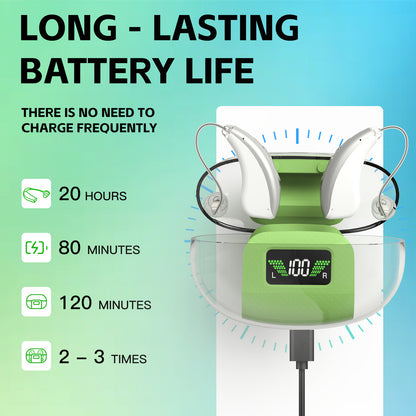 Hearing Aid Ric GM-303 OTC